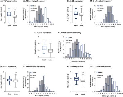 Tumor-Stroma-Inflammation Networks Promote Pro-metastatic Chemokines and Aggressiveness Characteristics in Triple-Negative Breast Cancer